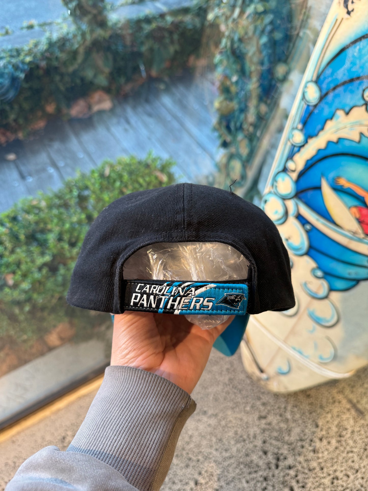 Carolina Panthers NFL Cap