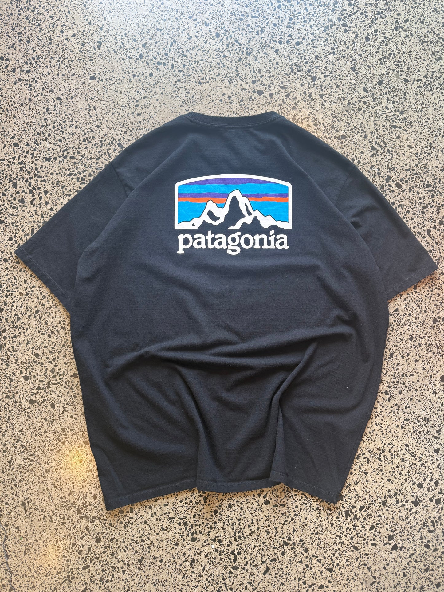 Patagonia mountain graphic T-shirt, size L, laid on polished concrete background — outdoor-inspired print on soft cotton.