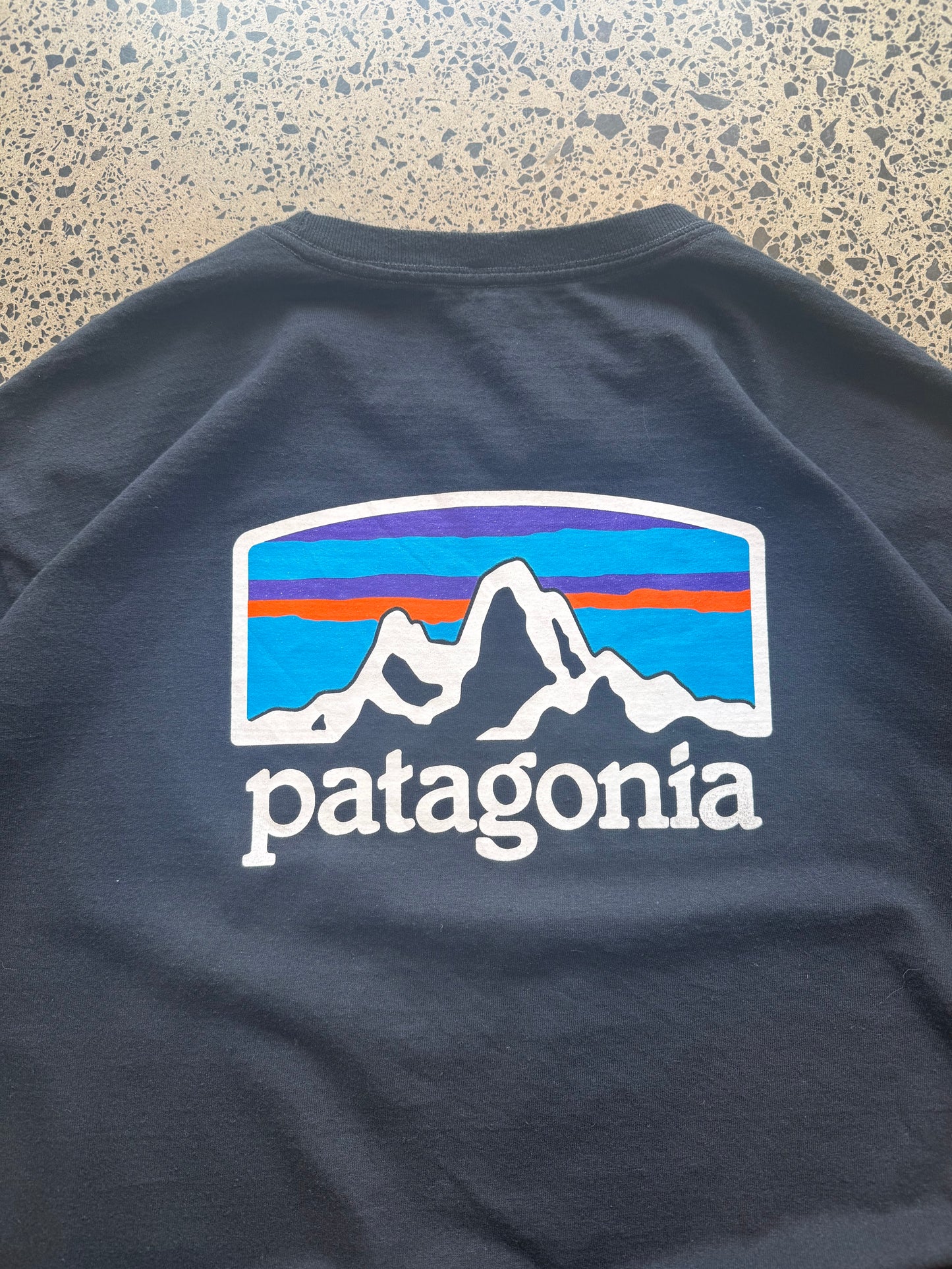 Patagonia mountain graphic T-shirt, size L, laid on polished concrete background — outdoor-inspired print on soft cotton.