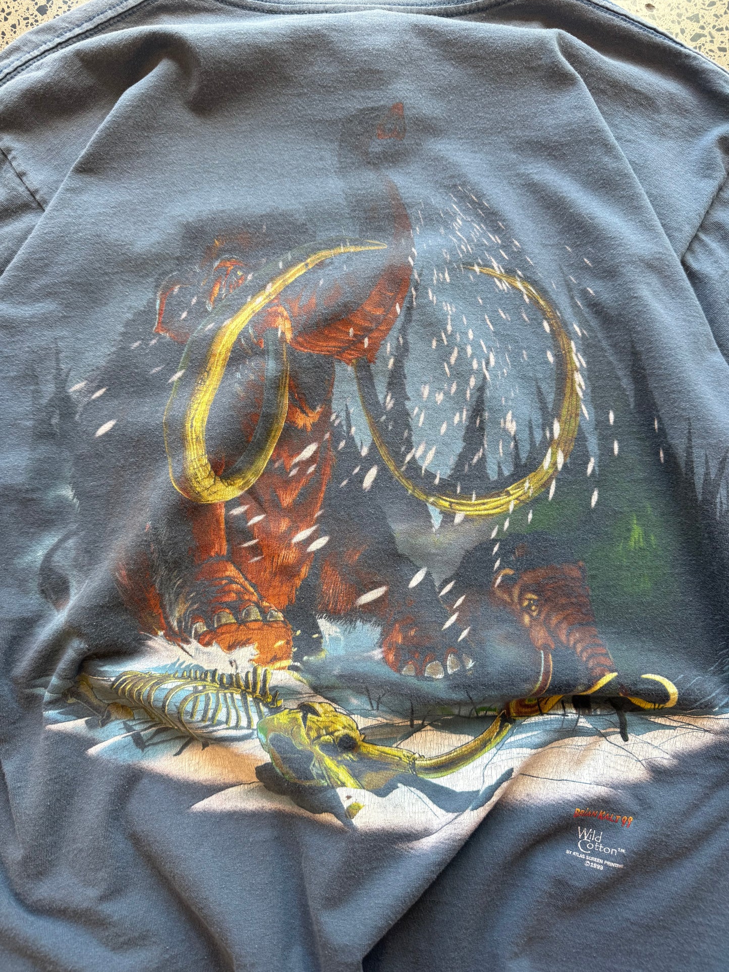 90's Single Stitch Mammoth Tee - L