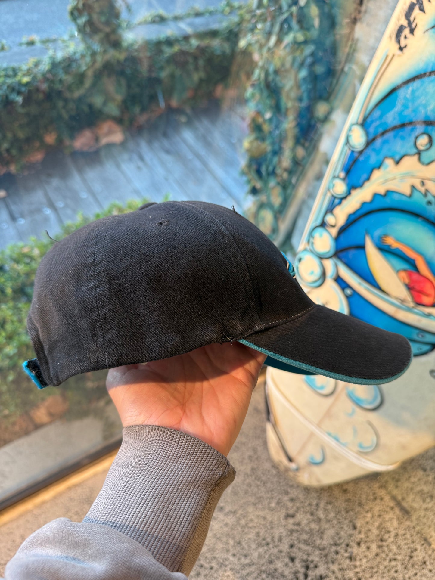 Carolina Panthers NFL Cap