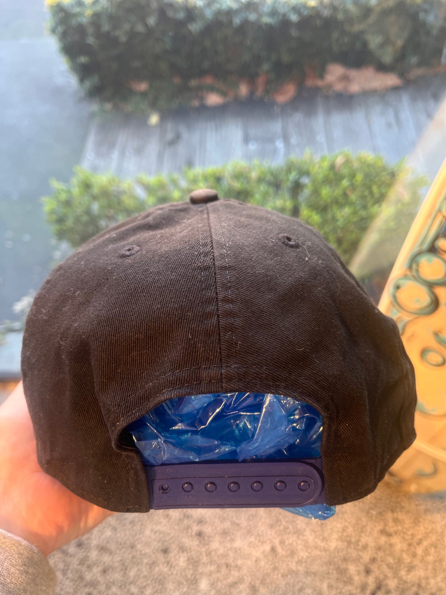 Los Angeles Kings NHL Cap
